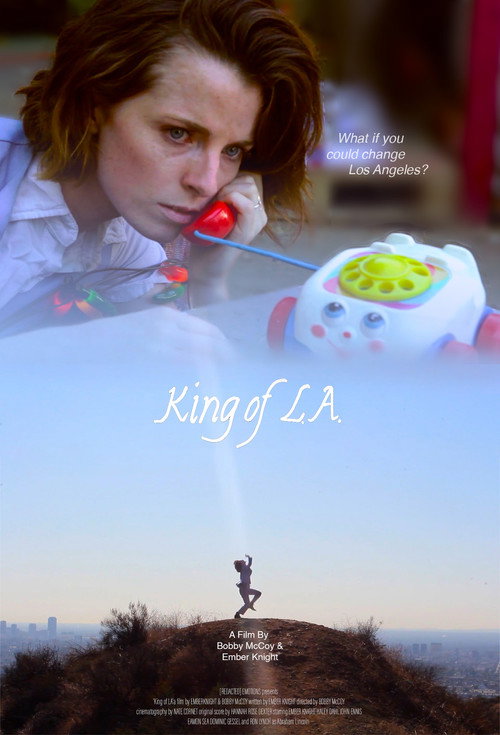 Movie poster for King of LA