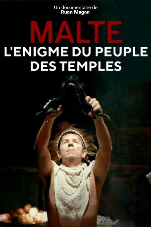Movie poster for Malte, l'énigme du peuple des temples (2018)