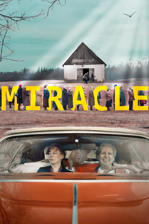 Movie poster for Miracle (2018)