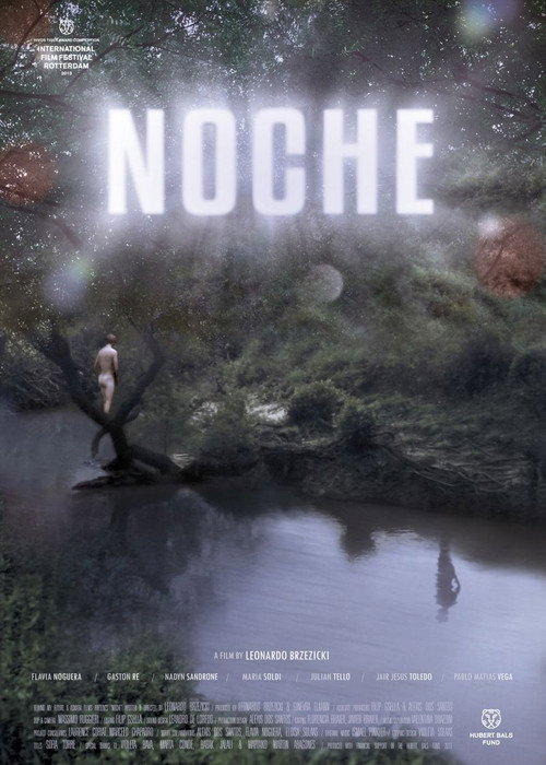 Movie poster for Night (2013)