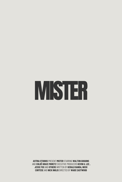 Movie poster for Mister