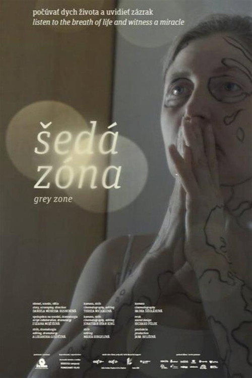 Movie poster for Grey Zone (2024)