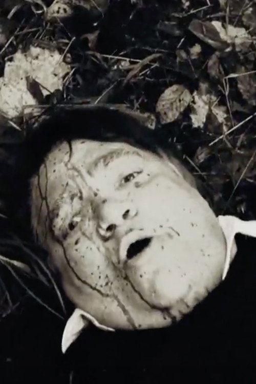 Movie poster for Black (2010)