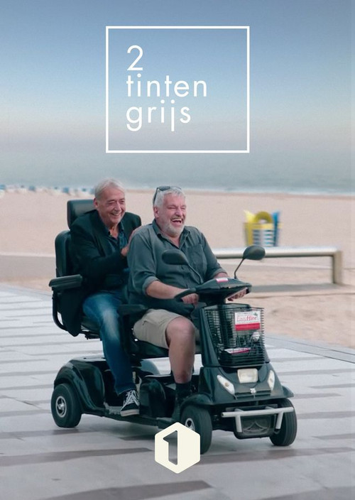 Twee Tinten Grijs poster