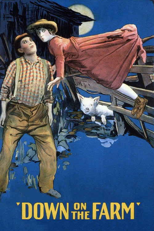 Movie poster for Down on the Farm (1920)