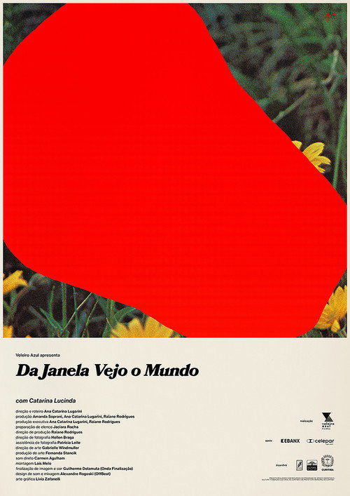 Movie poster for Da Janela Vejo o Mundo (2021)