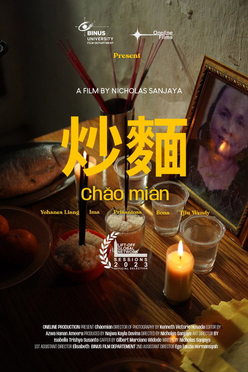 Movie poster for Birthday Noodle