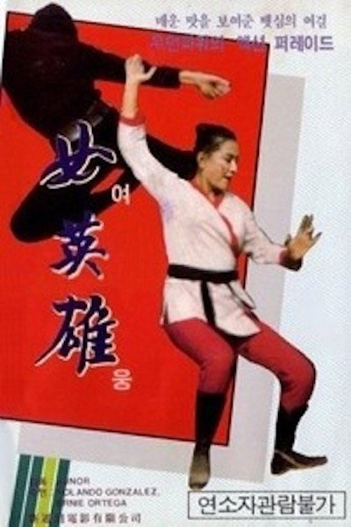 Movie poster for Revenge of a Lady Fighter (1973)