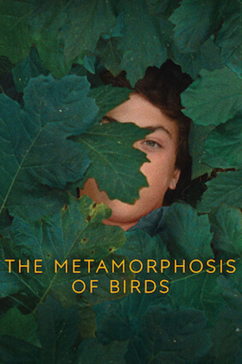 Movie poster for The Metamorphosis of Birds (2021)
