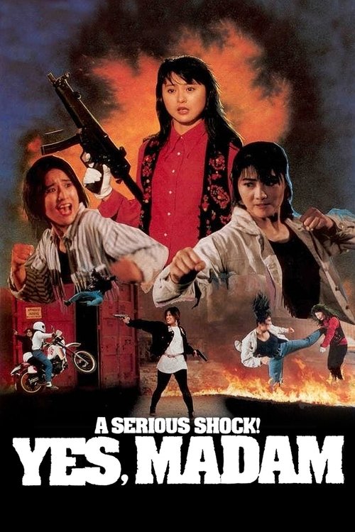 Movie poster for A Serious Shock! Yes Madam! (1993)