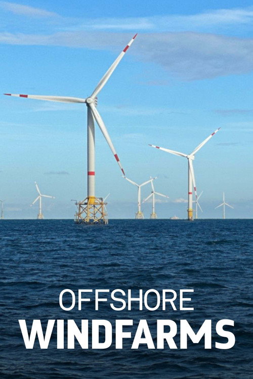 Movie poster for Windparks im Meer - Chance oder Risiko für die Natur? (2024)