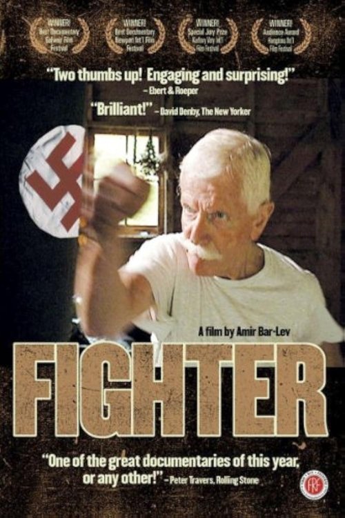 Movie poster for Fighter (2000)