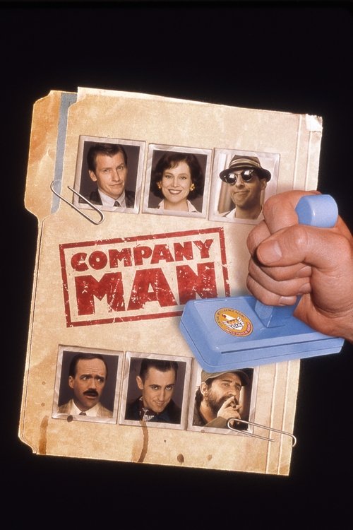 Movie poster for Company Man (2000)
