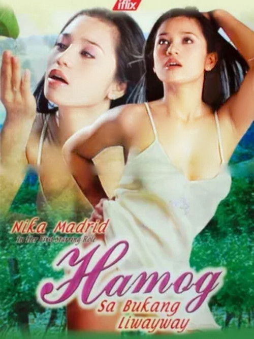 Movie poster for Hamog sa Bukang Liwayway (2004)