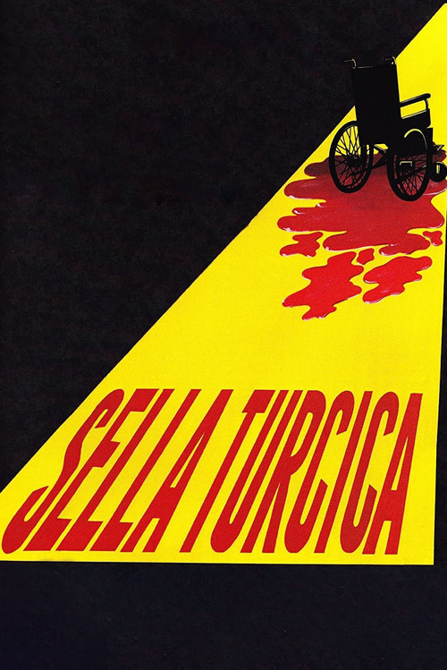 Movie poster for Sella Turcica (2010)