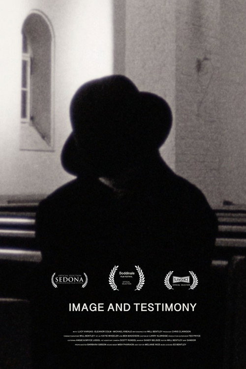 Movie poster for Image and Testimony (2016)
