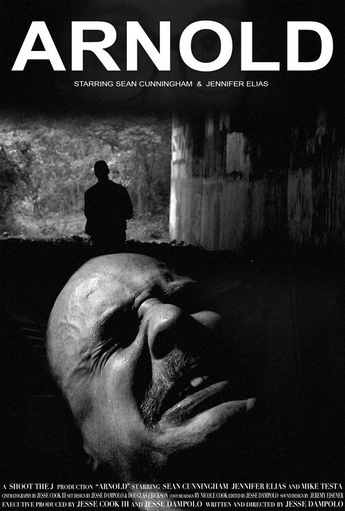 Movie poster for Arnold (2018)
