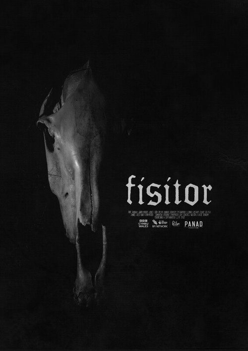 Movie poster for Fisitor (2024)