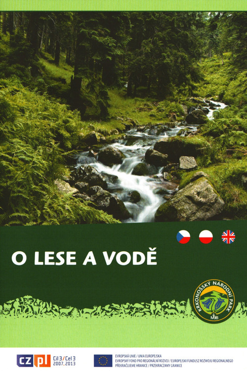Movie poster for The Forest and Water (2012)