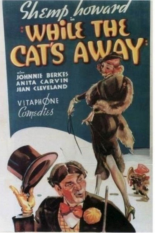 Movie poster for While the Cat's Away (1936)
