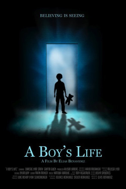 Movie poster for A Boy's Life (2011)