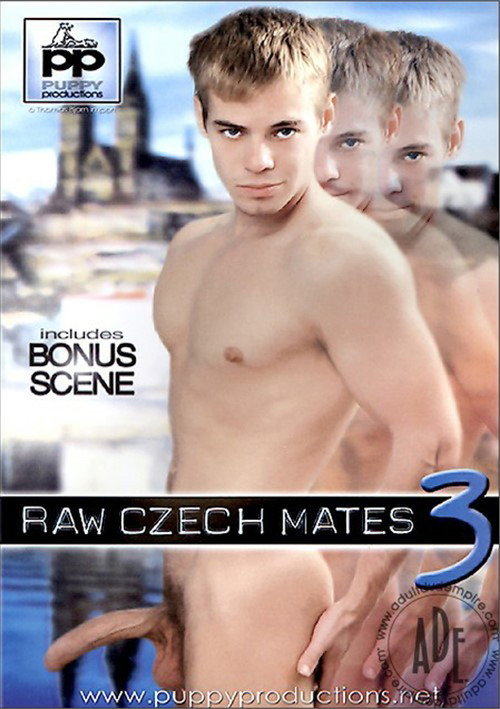 Movie poster for Raw Czech Mates 3 (2006)