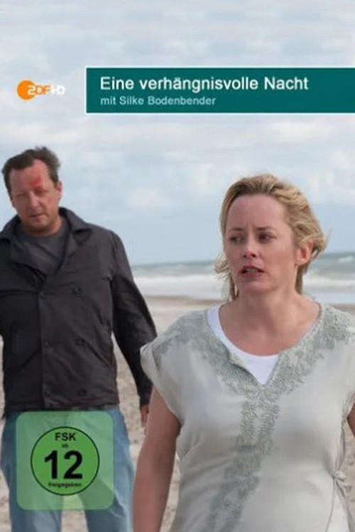 Movie poster for Eine verhängnisvolle Nacht (2013)