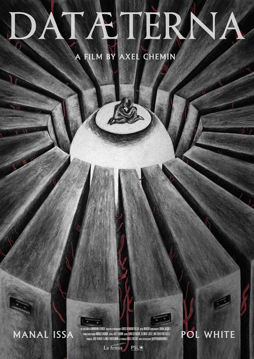 Movie poster for Datæterna (2023)