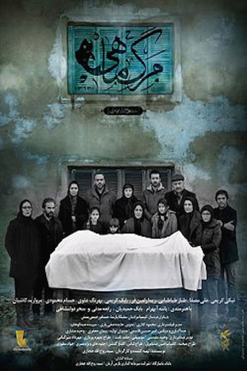 Movie poster for Death of the Fish (2016)