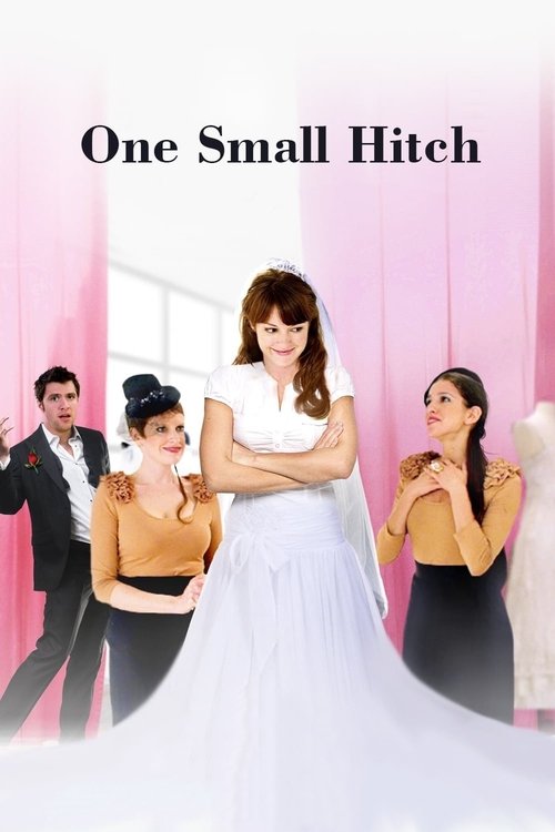 Movie poster for One Small Hitch (2013)