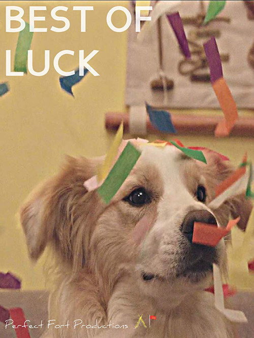 Movie poster for Best of Luck (2017)