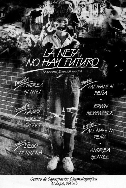Movie poster for In Fact, There is not Future (1988)