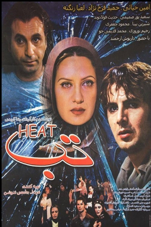 Movie poster for The Fever (2003)