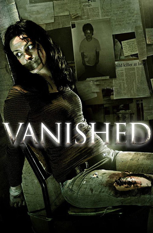 Movie poster for Vanished (2011)