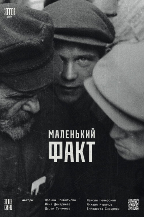 Movie poster for A Little Fact (2024)