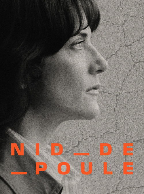 Potholes - Are our roads a public hazard? poster