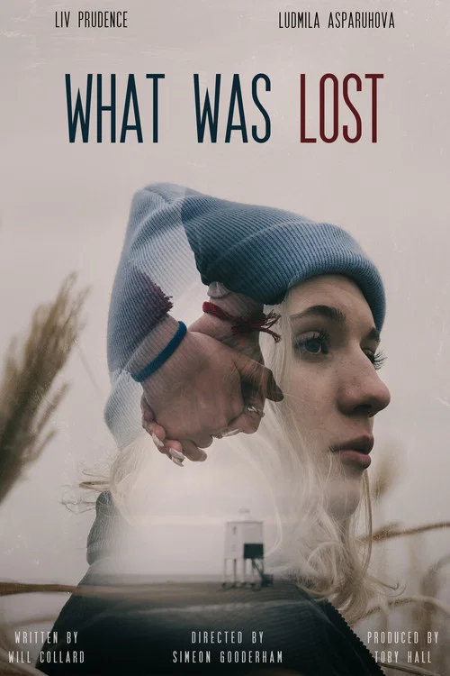 Movie poster for What Was Lost (2023)