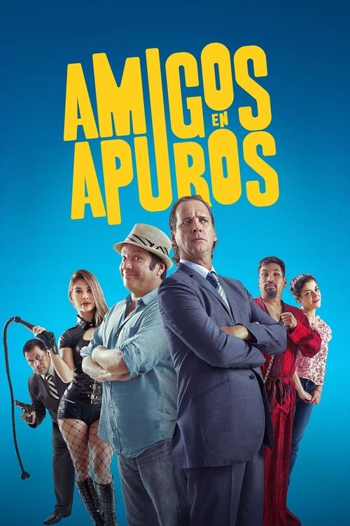 Movie poster for Friends in a hurry (2018)