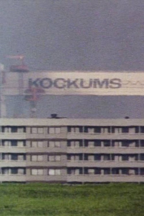 Movie poster for Nålsögat: En film om möjligheter (1975)