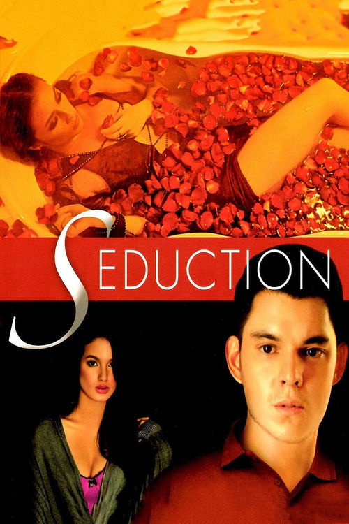 Movie poster for Seduction (2013)