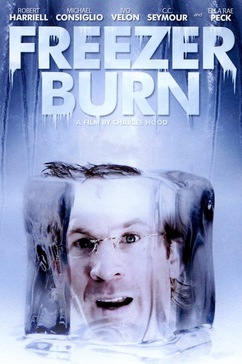 Movie poster for Freezer Burn (2007)