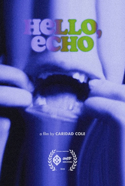 Movie poster for Hello, Echo (2023)