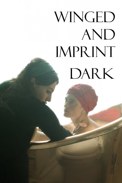 Movie poster for Winged and Imprint Dark (2022)