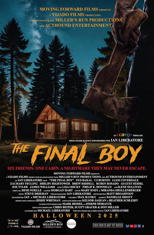 Movie poster for The Final Boy