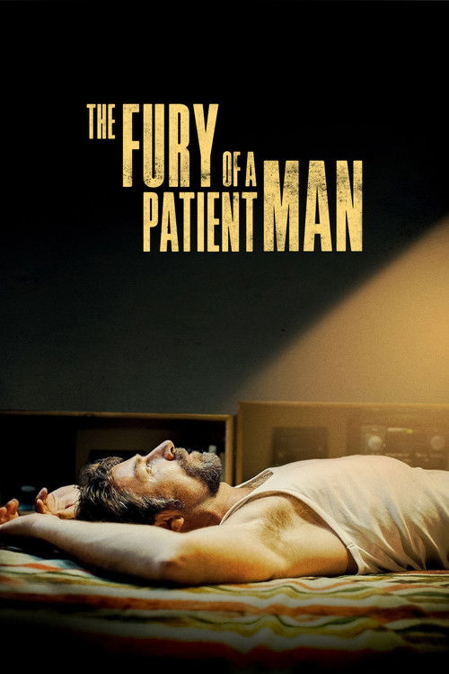 Movie poster for The Fury of a Patient Man (2016)