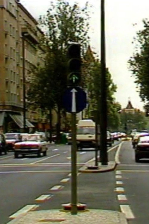 Sétimo Direito poster