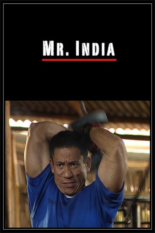 Movie poster for Mr. India (2009)