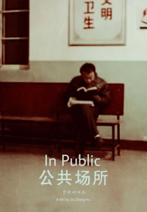 Movie poster for In Public (2001)