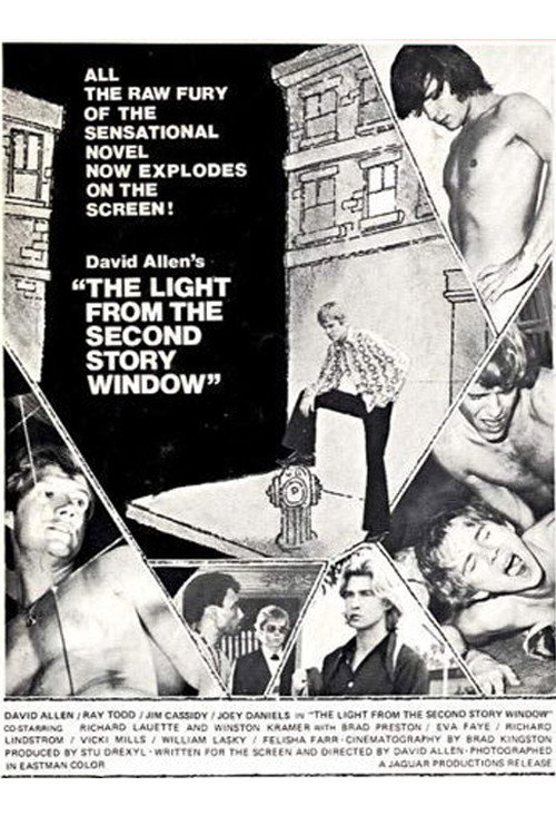 Movie poster for The Light from the Second Story Window (1973)