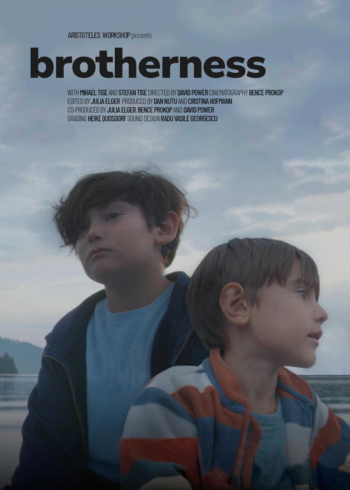 Movie poster for Brotherness (2021)